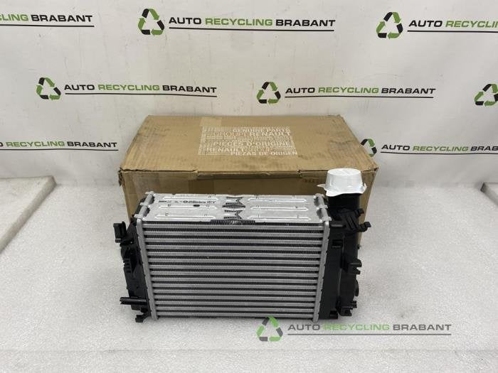 Radiateur van een Renault Megane, Auto-onderdelen, Gebruikt, -, -, Ophalen of Verzenden