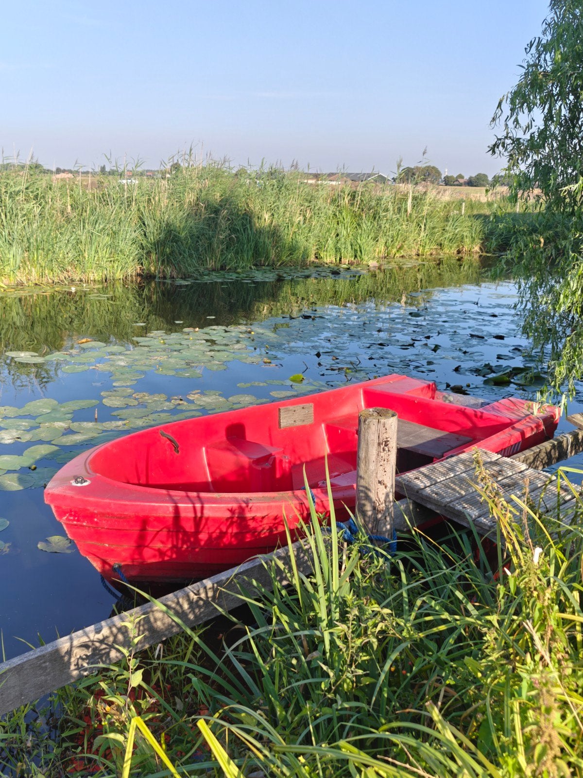 Pioner Maxi roeiboot met Yamaha, Mercury en Selvin bb, Gebruikt, Minder dan 5 pk, Ophalen of Verzenden, Buitenboordmotor
