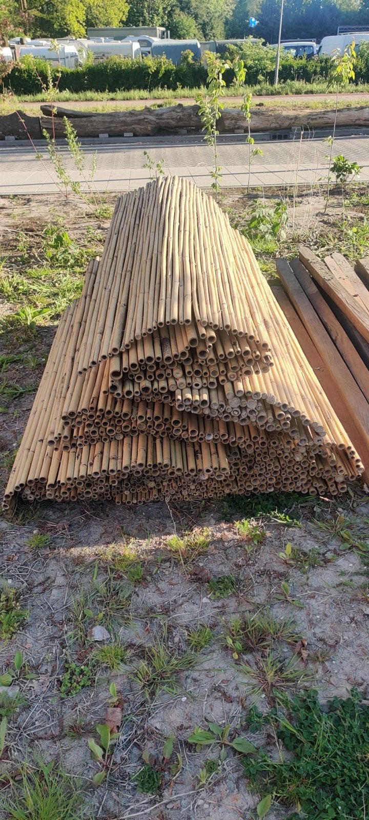 Bamboe palen (21 meter) voor diverse toepassingen, Ophalen, Gebruikt, Palen, Hardhout