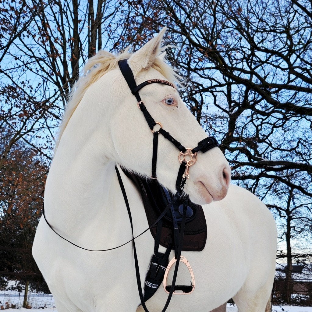 MD Equestrians hackamore type rosie FULL, Ophalen of Verzenden