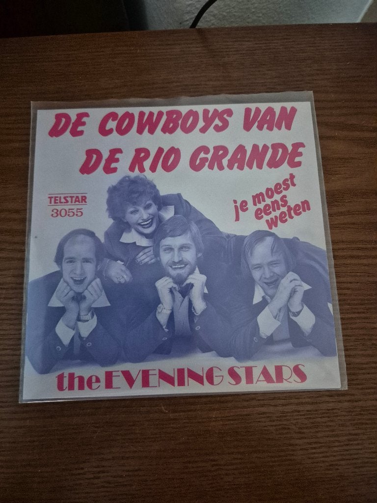 The Evening Stars, Cd's en Dvd's, Vinyl | Nederlandstalig, Ophalen of Verzenden, Zo goed als nieuw, 7 inch, Levenslied of Smartlap