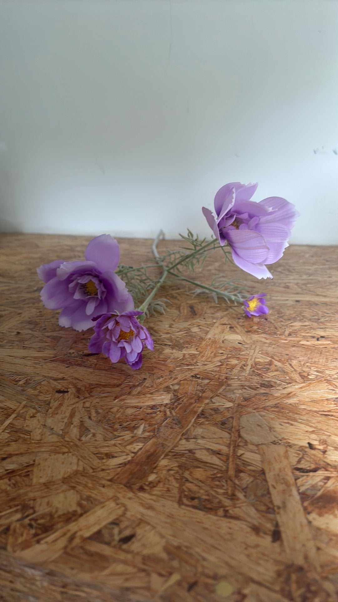 Kunstbloem, Ophalen, Zo goed als nieuw