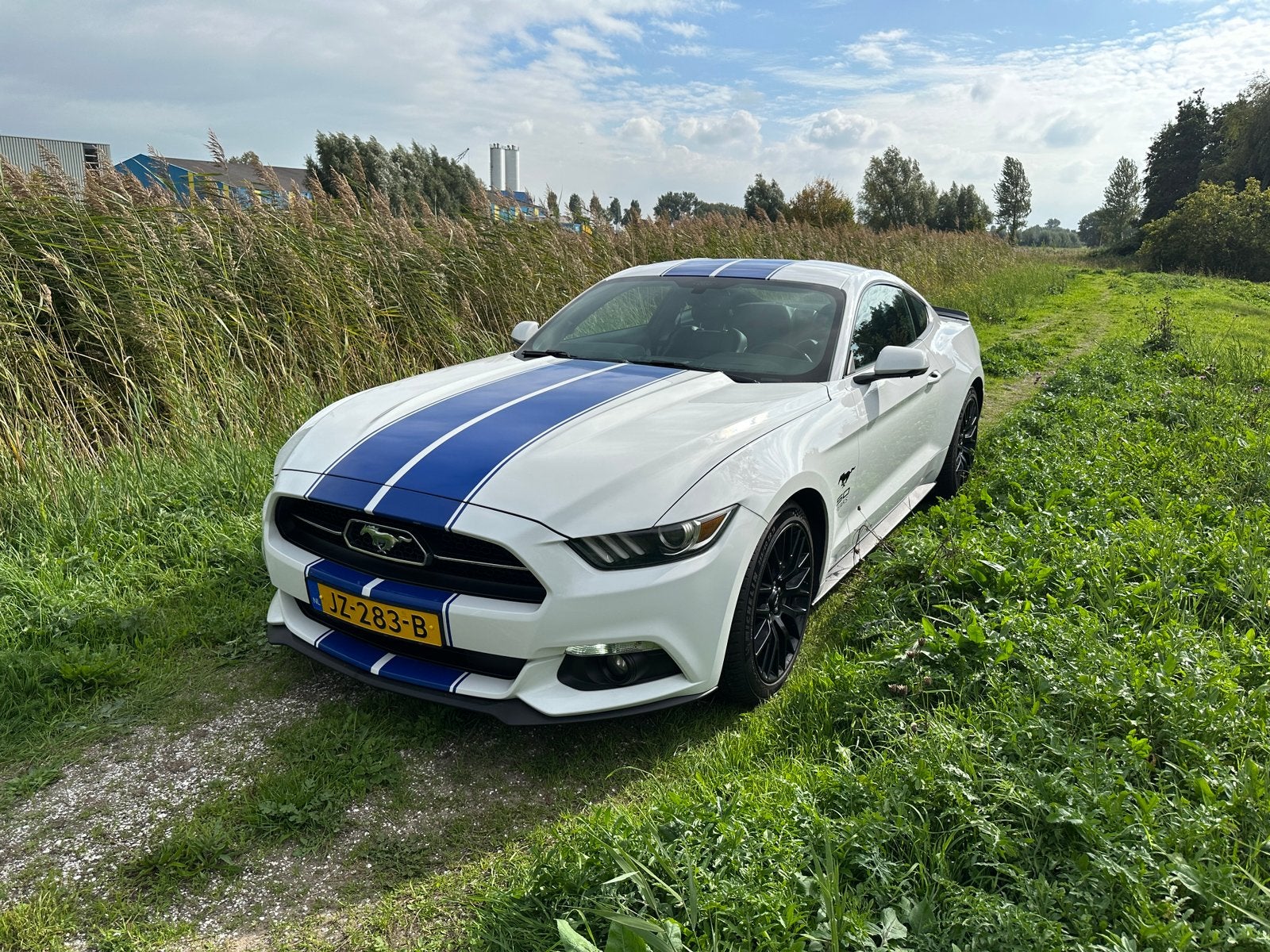 Ford Mustang S550 Fastback 2.3 EcoBoost, Automaat, Xenon verlichting, Achterwielaandrijving, 4 cilinders
