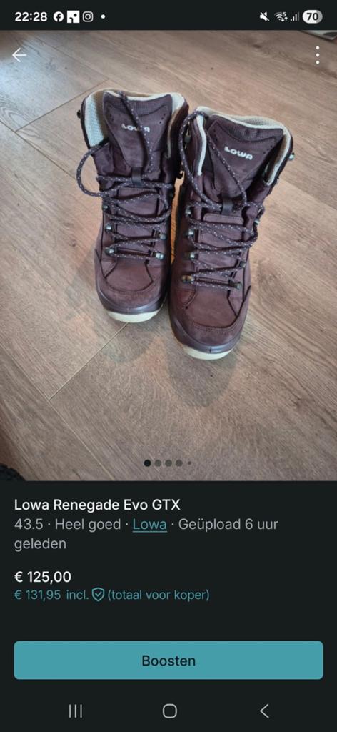 Lowa Renegade, Ophalen of Verzenden, Zo goed als nieuw, Schoenen