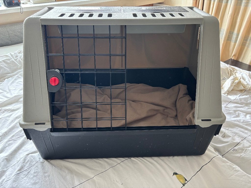 autobench hond, Dieren en Toebehoren, Ophalen, Gebruikt