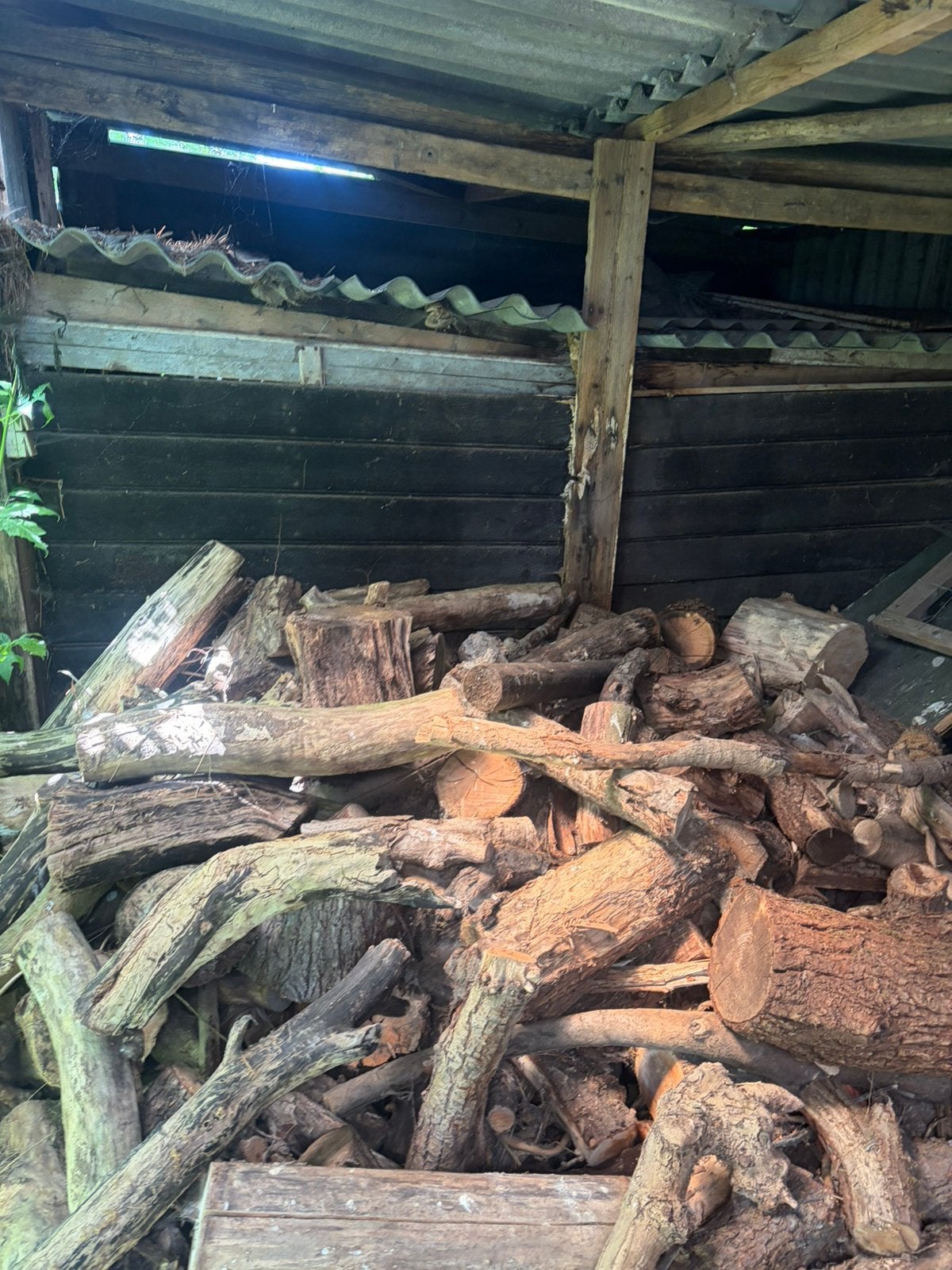 Ongekloofd hout, Minder dan 3 m³, Ophalen of Verzenden
