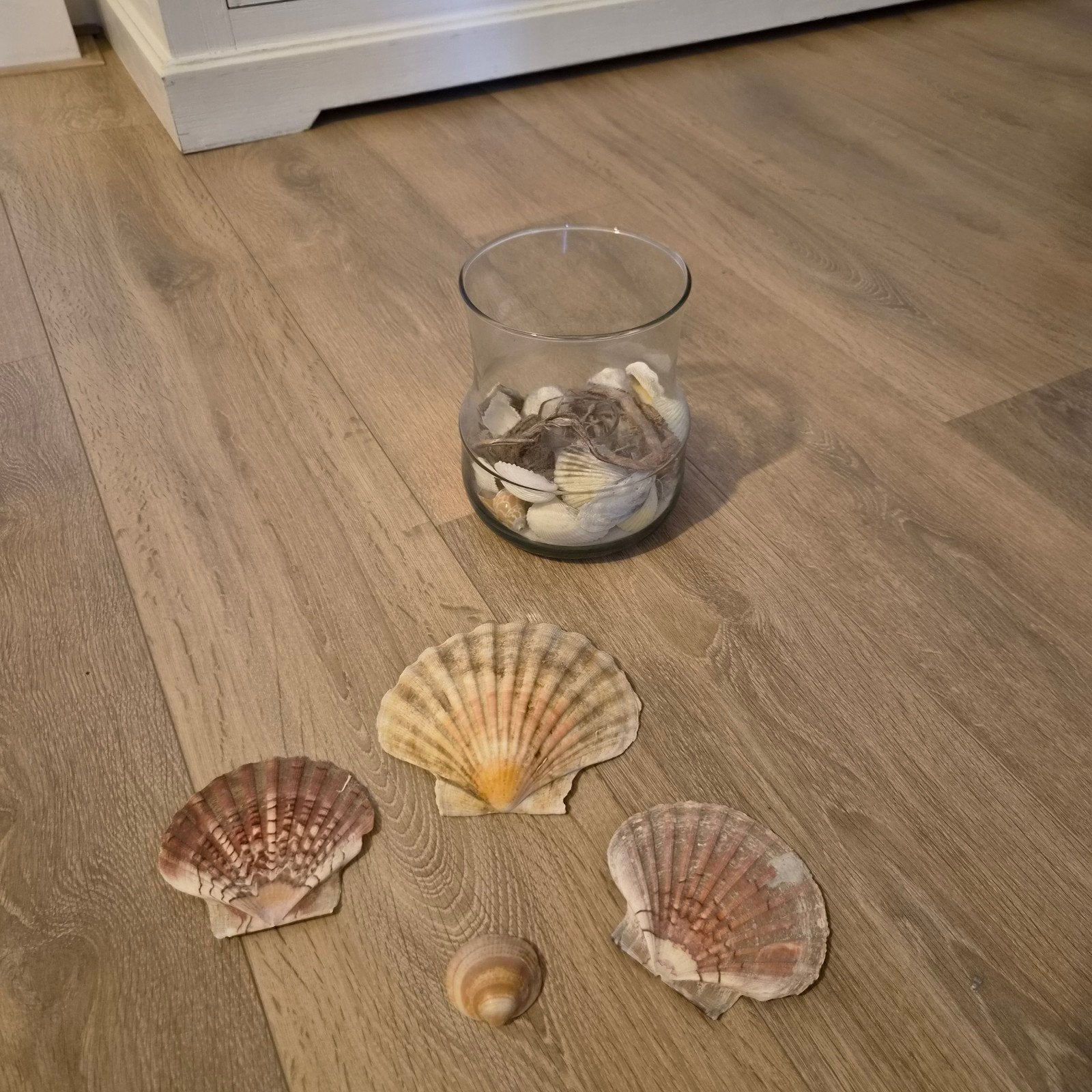 Decoratieve schelpen en pot met schelpen, Ophalen of Verzenden