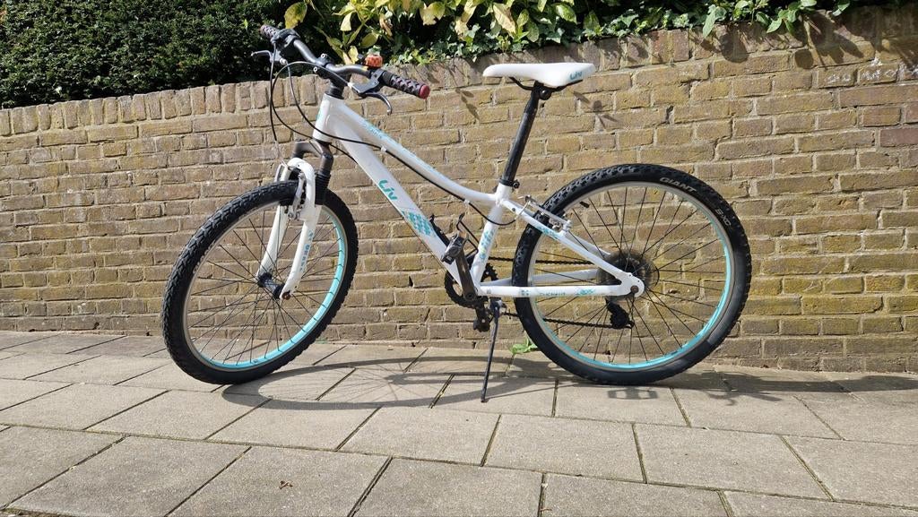 Liv mountainbike 24 inch, Ophalen, Velgrem, Versnellingen, Gebruikt