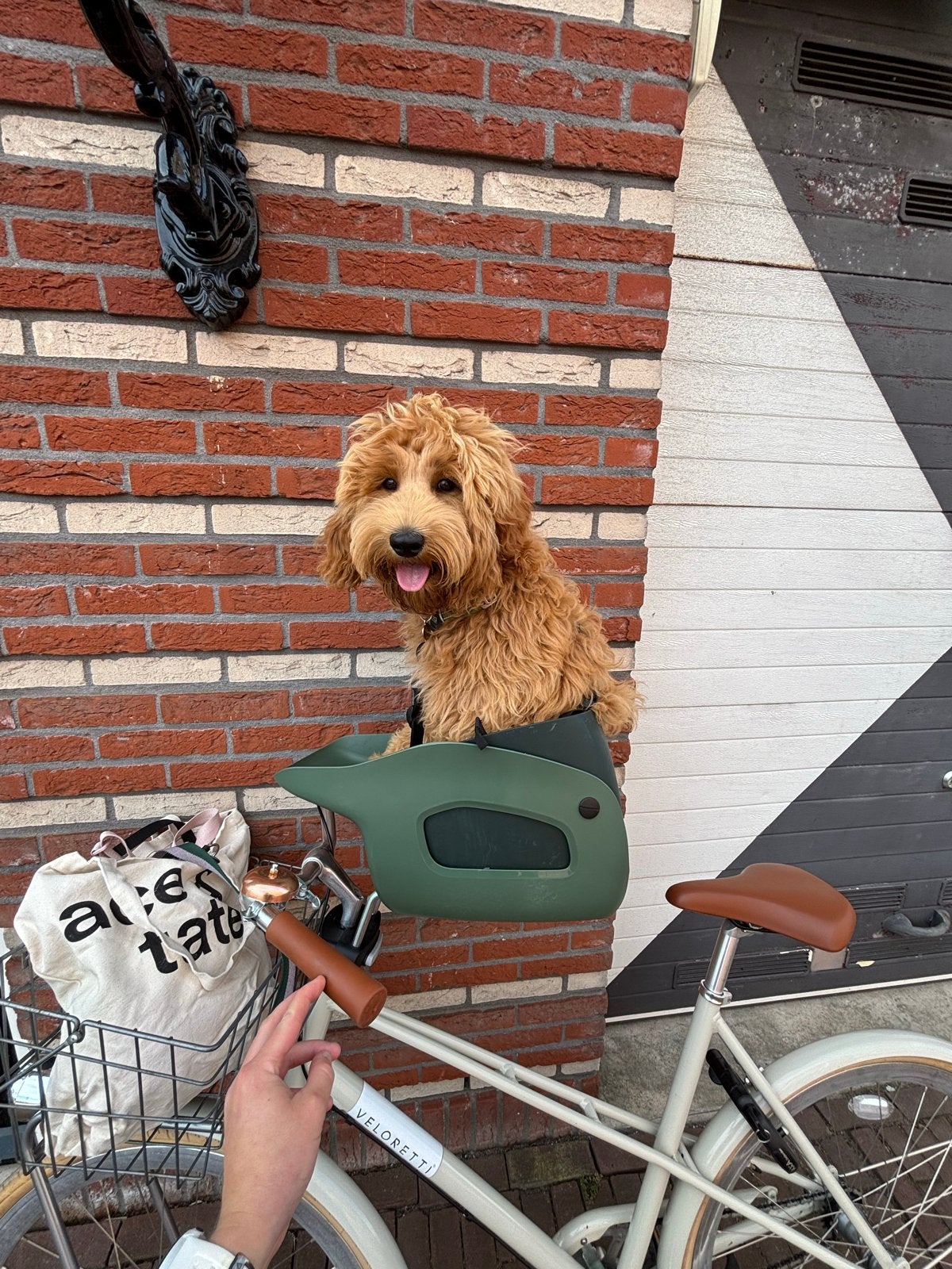 Kvisp fietszitje honden - Groen, Fietsen en Brommers, Ophalen of Verzenden, Zo goed als nieuw, 0 t/m 13 kg, Voorzitje