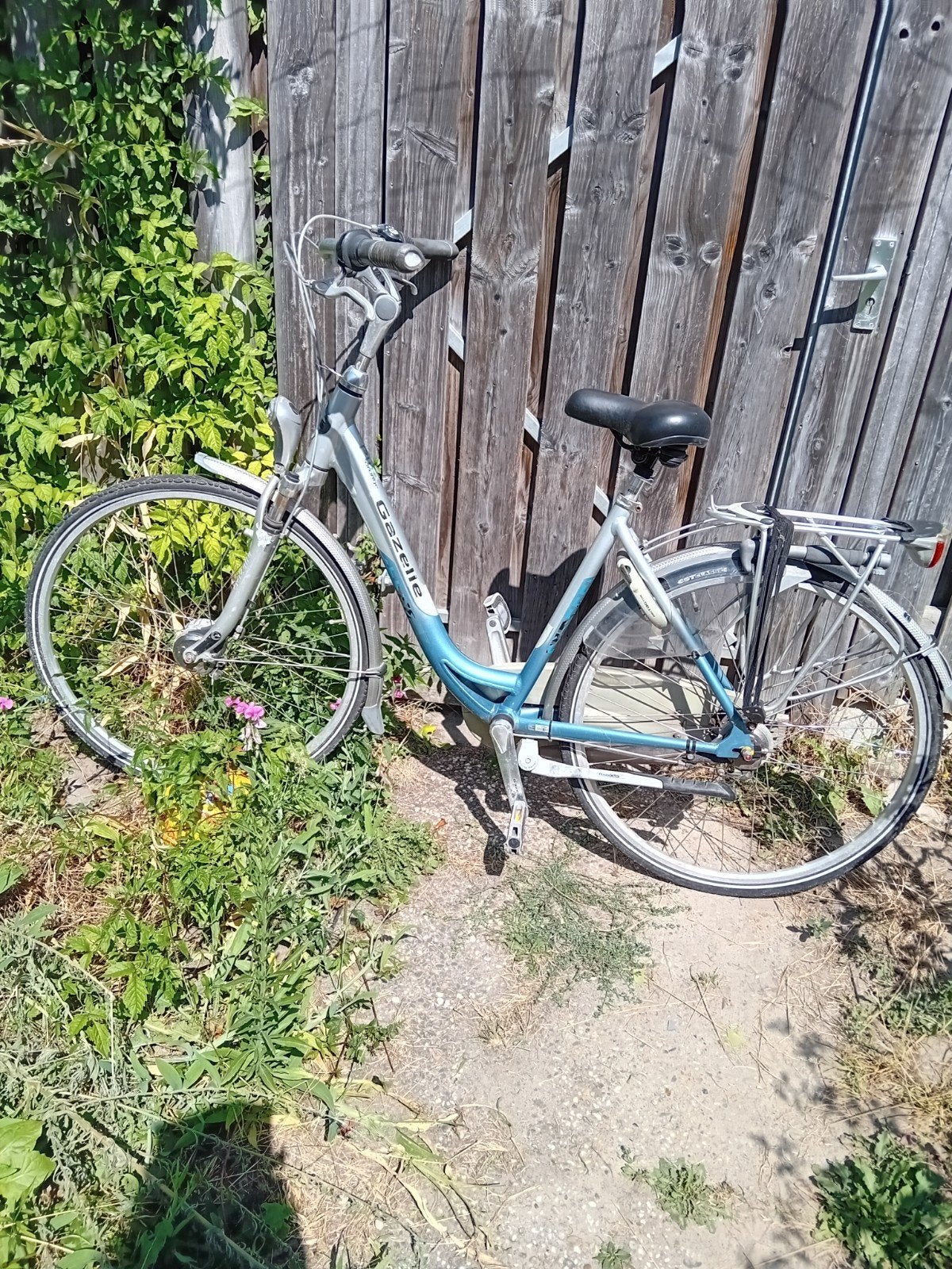 fiets lage instap, Ophalen, Overige merken