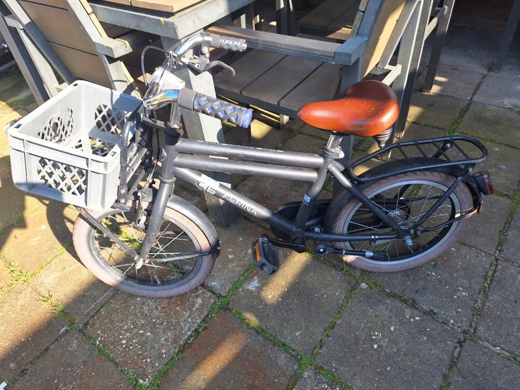 Stevige jongens fiets, 16 inch, alpina, Terugtraprem, Gebruikt, Alpina, Ophalen of Verzenden