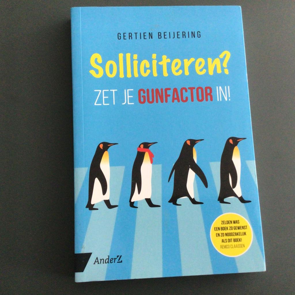 Gertien Beijering - Solliciteren?, Boeken, Advies, Hulp en Training, Gelezen, Ophalen of Verzenden
