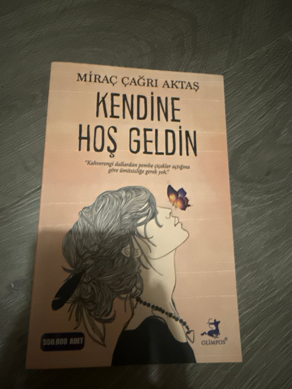 Kendine Hoş Geldin - Miraç Çağrı Aktaş, Boeken, Ophalen of Verzenden, Zo goed als nieuw, Wereld overig