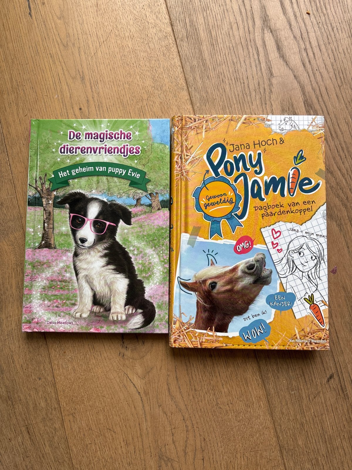Kinderboeken: De magische dierenvriendjes & Pony Jamie, Ophalen of Verzenden, Gelezen, Fictie