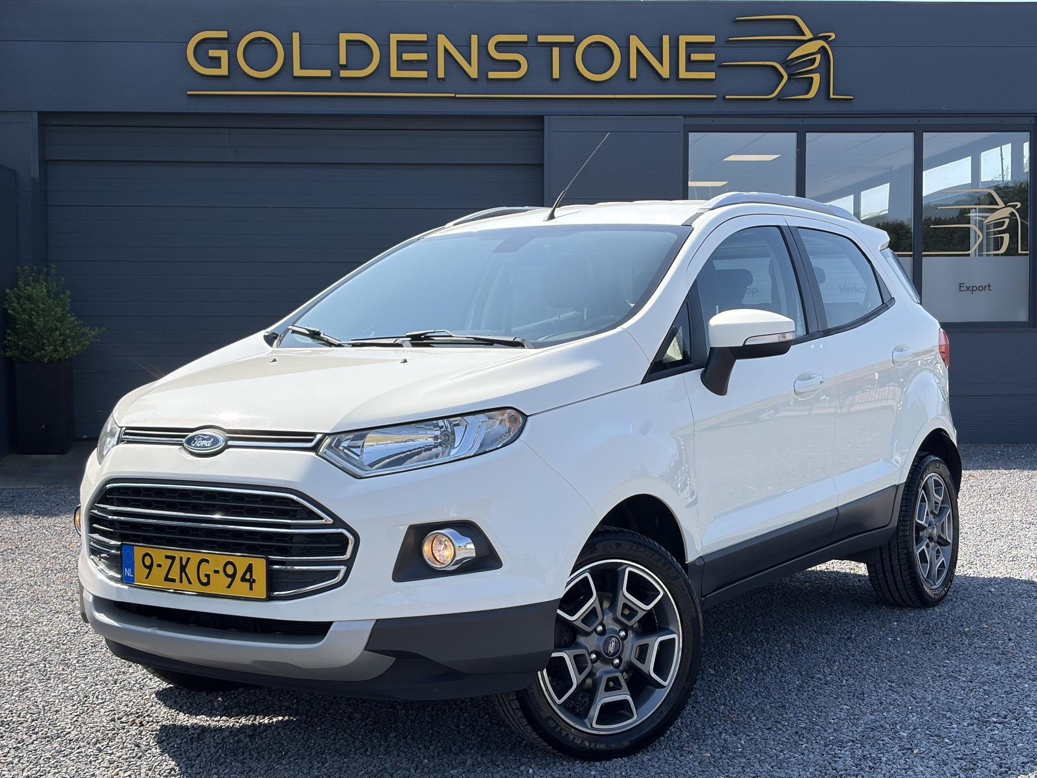Ford EcoSport 1.0 EcoBoost Titanium Clima,Cruise,Pdc,Lm velg, Voorwielaandrijving, Gebruikt, Ecosport, Wit