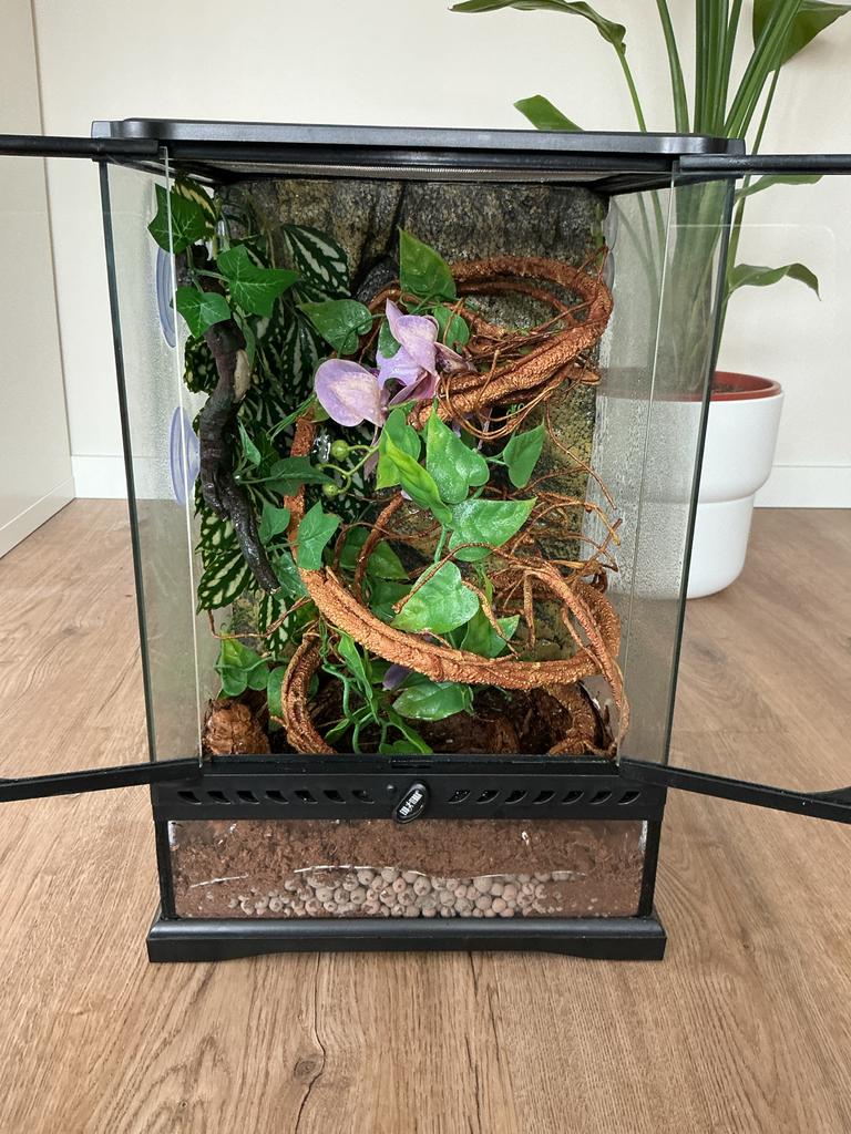 Exo terra 30x30x45 tropische wimpergekko terrarium, Dieren en Toebehoren, Ophalen, Zo goed als nieuw, Terrarium of Paludarium