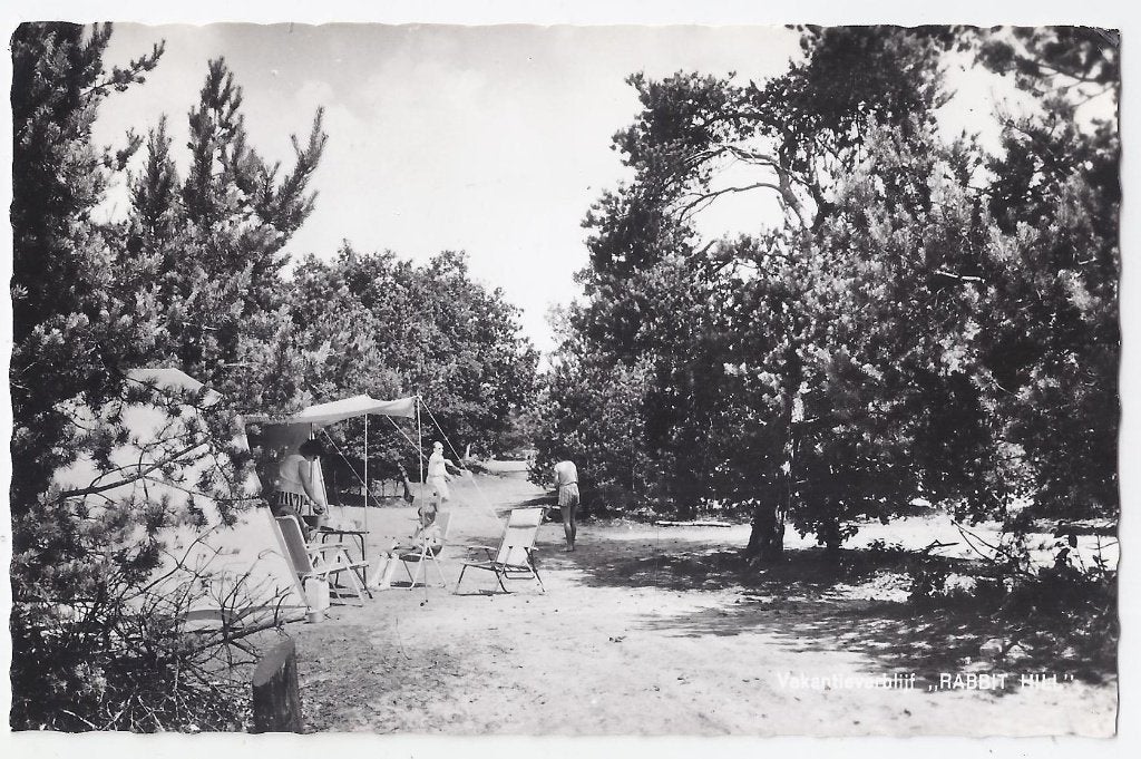 Nieuw Milligen vakantieverblijf oude ansichtkaart ( 7934 ), Ophalen of Verzenden, 1960 tot 1980, Gelopen