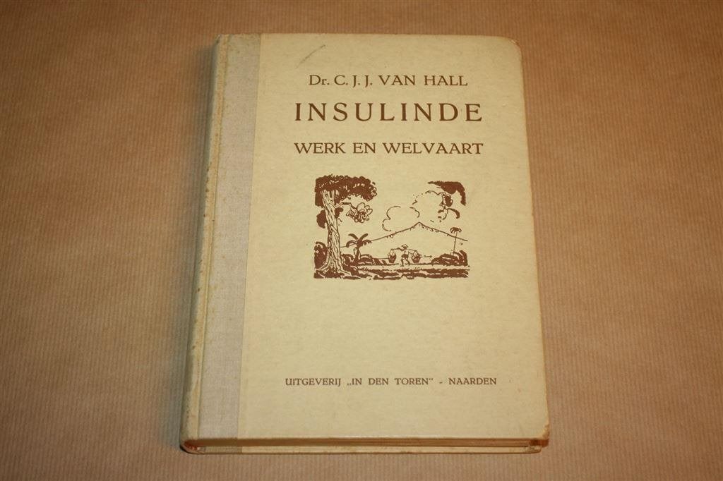 Insulinde. Werk en Welvaart - C.J.J. van Hall - 2e dr. 1943, Boeken, Ophalen of Verzenden, Gelezen