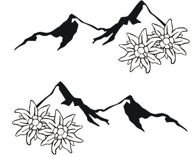camper caravan bus sticker set edelweiss, The River House, Info@theriverhouse.nl, Nieuw, Ophalen of Verzenden