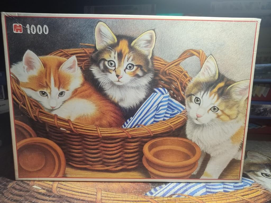 Jumbo puzzel 1000 stukjes Francien, Ophalen of Verzenden, 500 t/m 1500 stukjes, Gebruikt, Legpuzzel