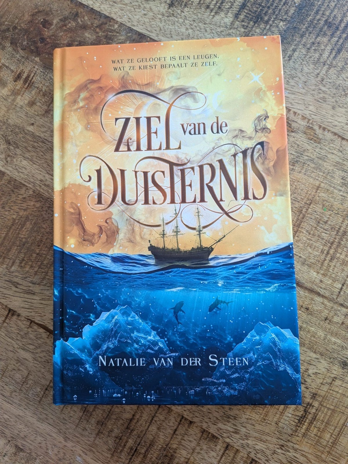 Ziel van de Duisternis - Natalie van der Steen, Boeken, Ophalen of Verzenden