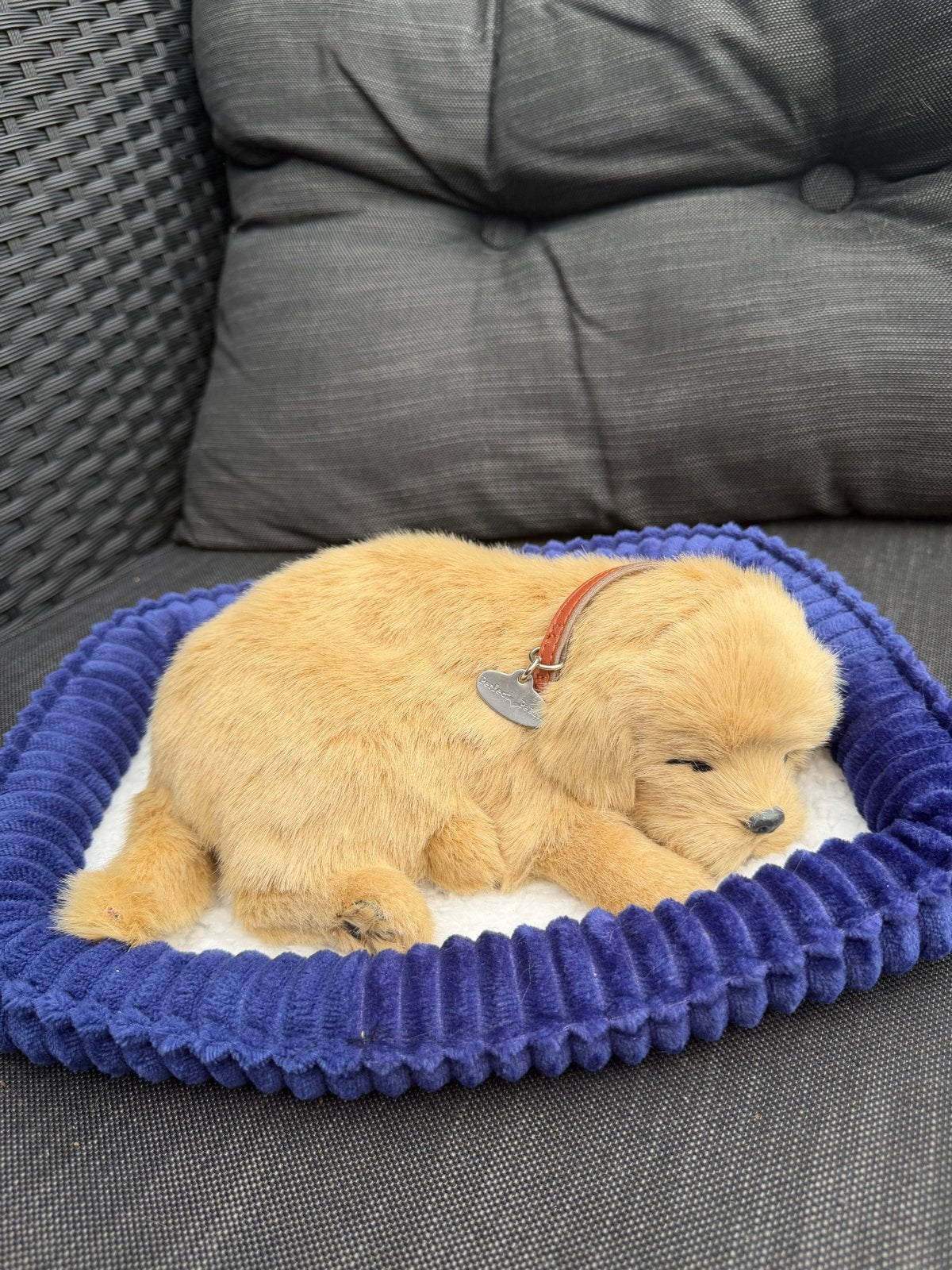 Perfect Petzzz Golden Retriever puppy met mandje, Ophalen, Overige merken, Met geluid, Hond