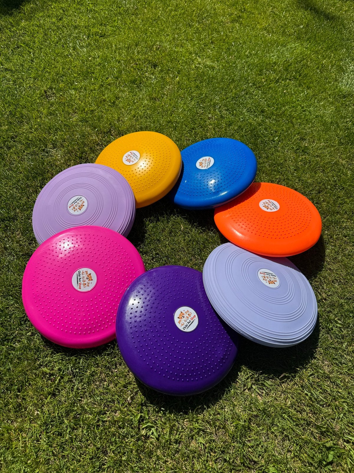 Honden balans disc / honden fitness disc, Ophalen of Verzenden, Nieuw