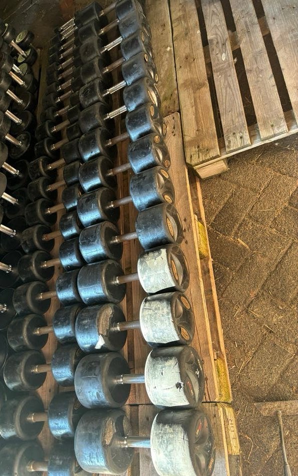 Lifemaxx Dumbbellset 1 t/m 60 kg - koopje!, Ophalen, Gebruikt, Lifemaxx, Lifemaxx