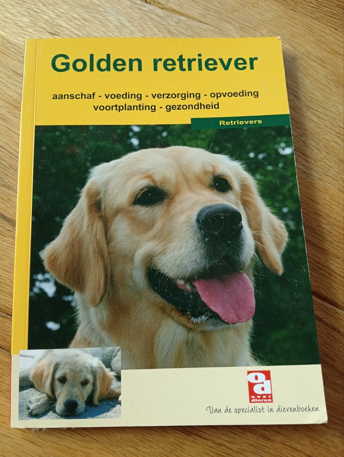 Golden Retriever: aanschaf, voeding, verzorging, opvoeding, Honden, Ophalen of Verzenden, Zo goed als nieuw, Diverse Auteurs