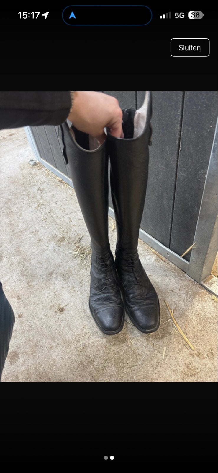 Deniro tricolore, Dieren en Toebehoren, Paardrijkleding, Ophalen of Verzenden, Dressuur, Schoeisel