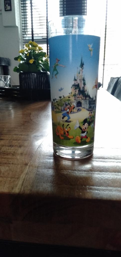 Voor de verzamelaar mooi glas uit Disney land, Antiek en Kunst, Ophalen