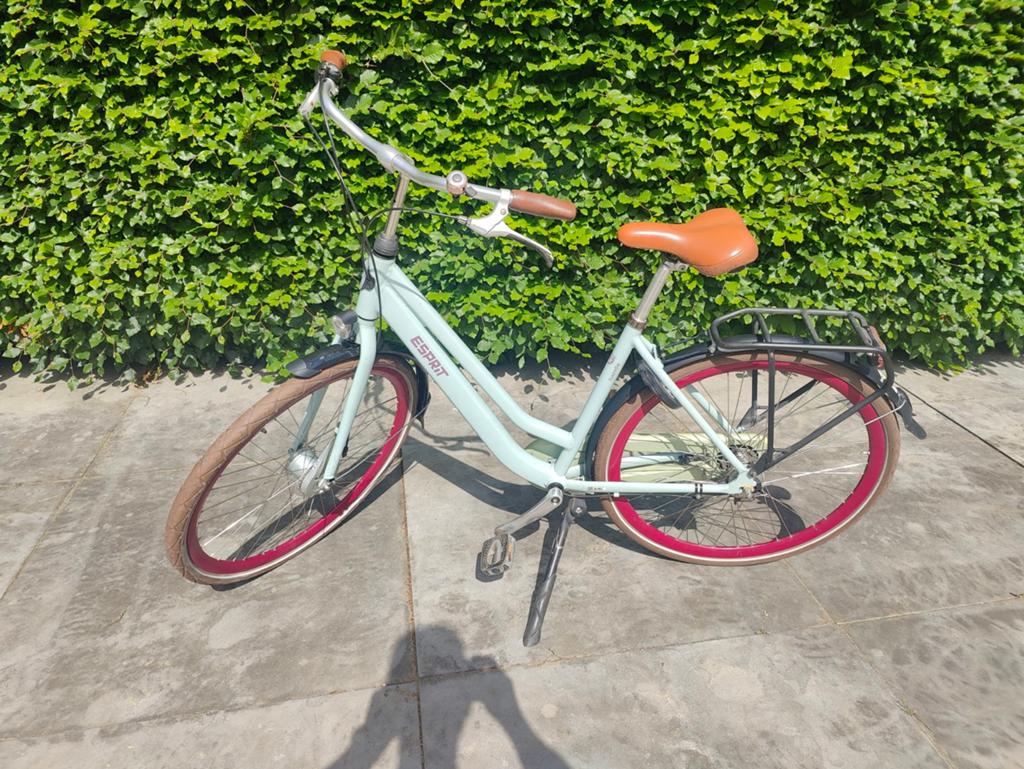 Gazelle Esprit met rollerbrakes en 3 versnellingen, Fietsen en Brommers, Ophalen, Gebruikt, 47 tot 50 cm, Versnellingen