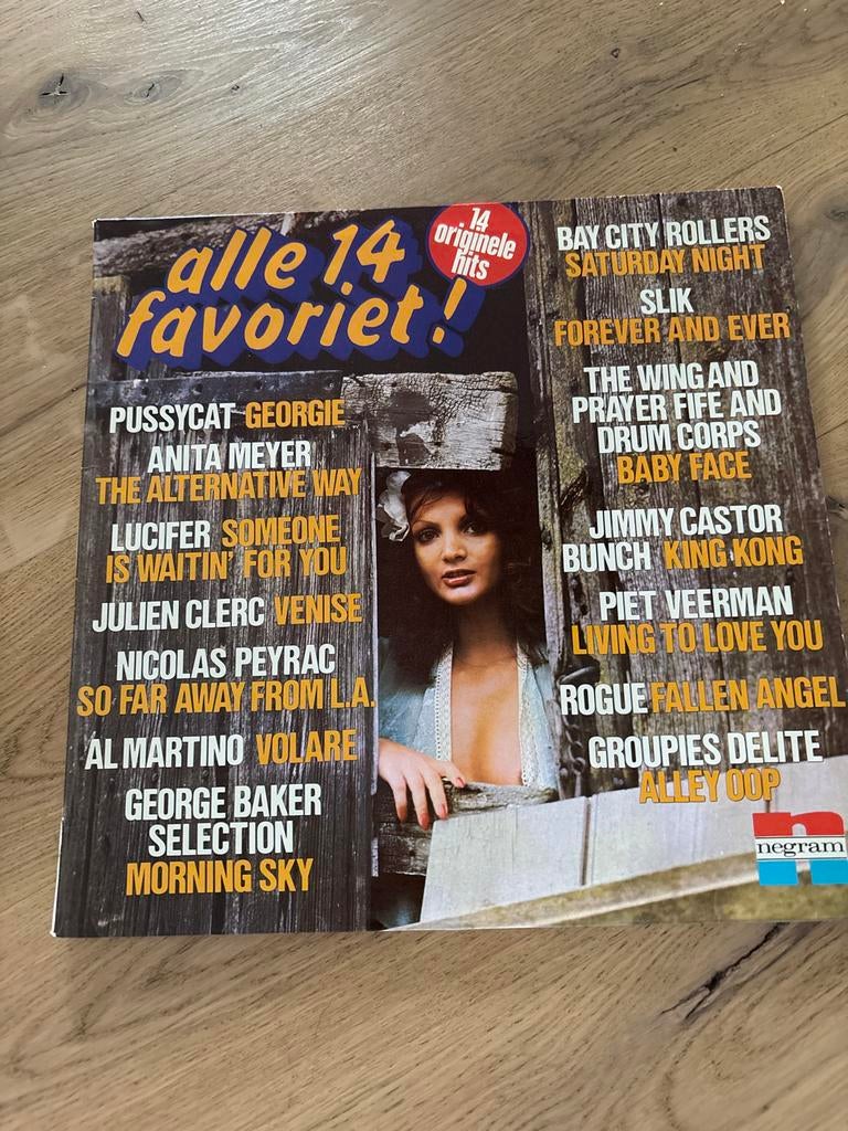 Vinyl LP - Alle 14 Favoriet!, Ophalen of Verzenden, Gebruikt, Pop