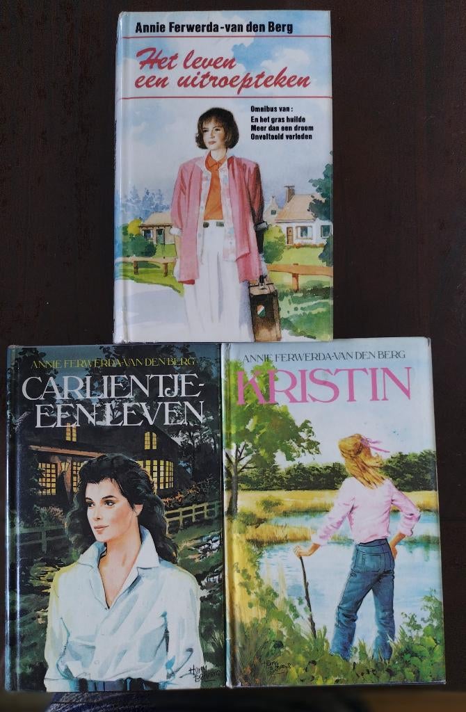 Boeken Annie Ferwerda-van den Berg, Ophalen of Verzenden, Zo goed als nieuw, Annie Ferwerda-van den Berg, Nederland
