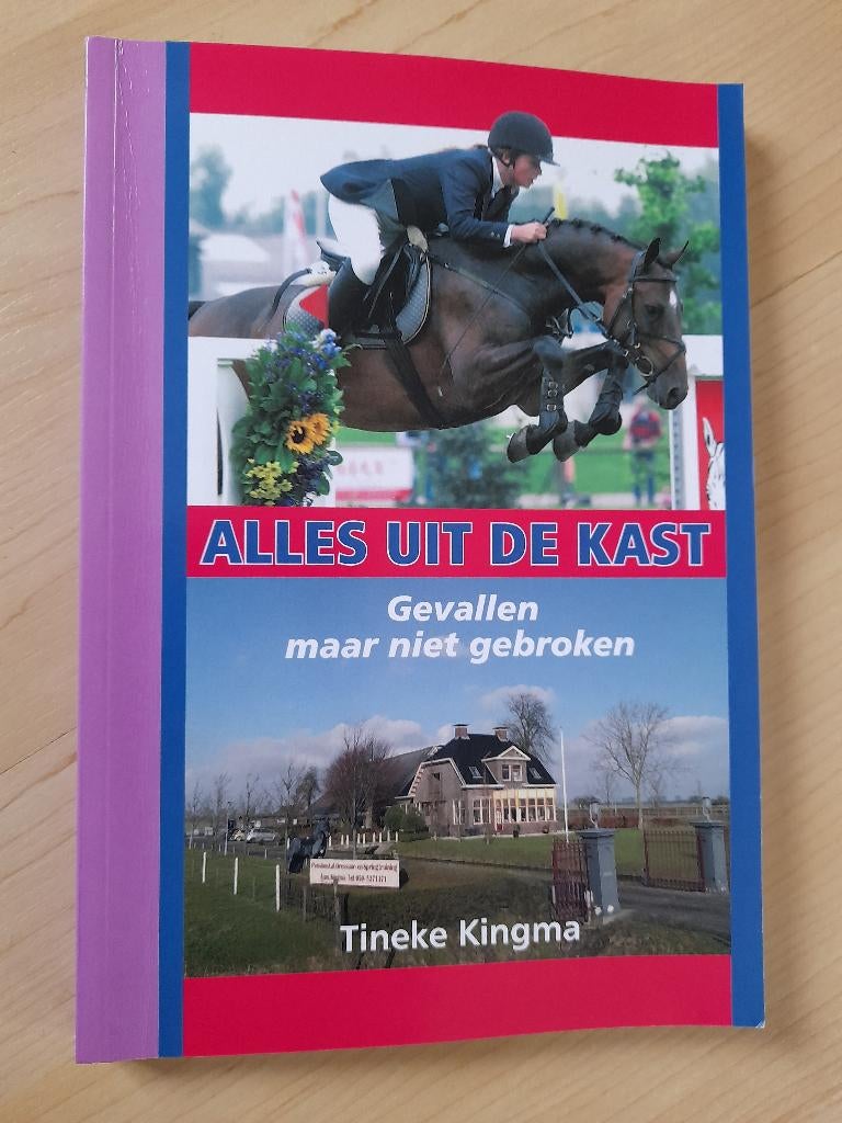 ALLES UIT DE KAST Tineke Kingma GEVALLEN MAAR NIET GEBROKEN, Ophalen of Verzenden, Zo goed als nieuw