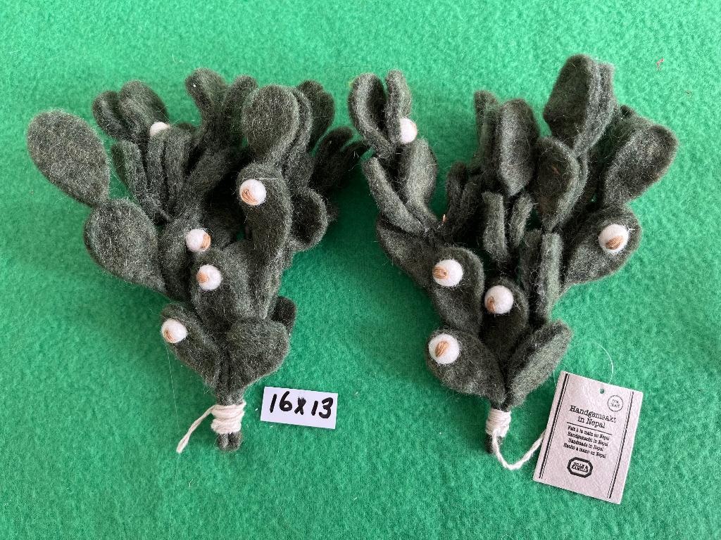 Cactus-plantjes van vilt, Ophalen of Verzenden, Nieuw