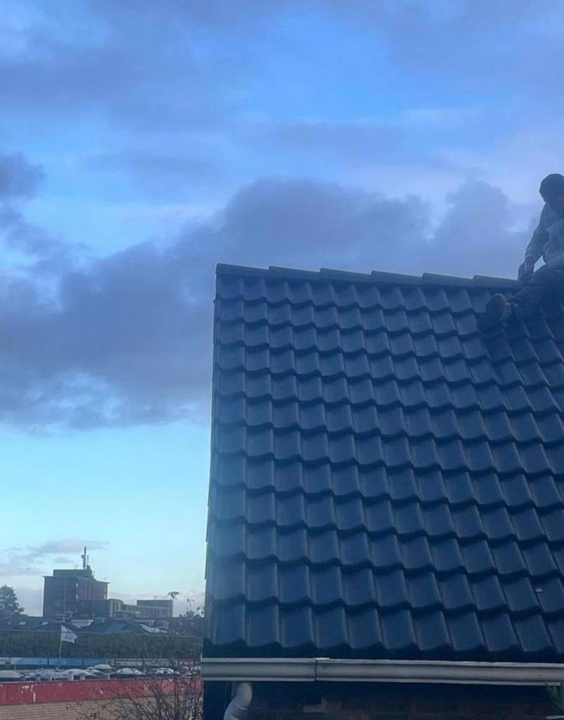 Dakdekkers aangeboden pannendak en bitumen, Ophalen, Nieuw