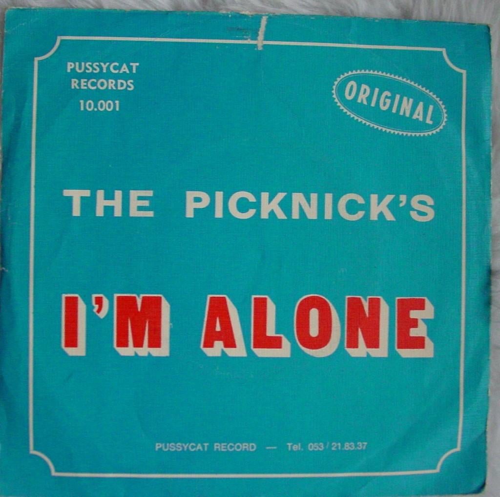 45T 7INCH VINYL SINGLE THE PICKNICKS, Cd's en Dvd's, Ophalen of Verzenden, Zo goed als nieuw, Pop