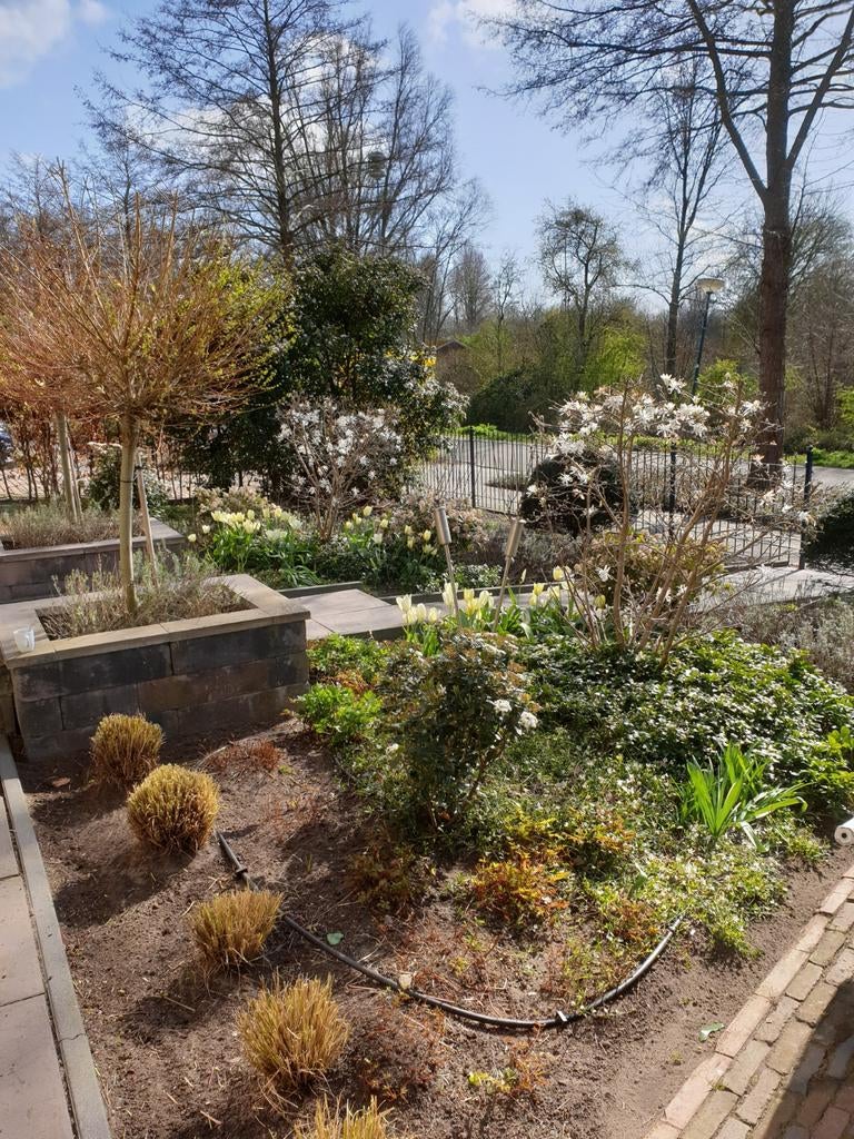Hovenier, Diensten en Vakmensen, Tuinmannen en Stratenmakers, Tuinonderhoud of Snoeiwerk