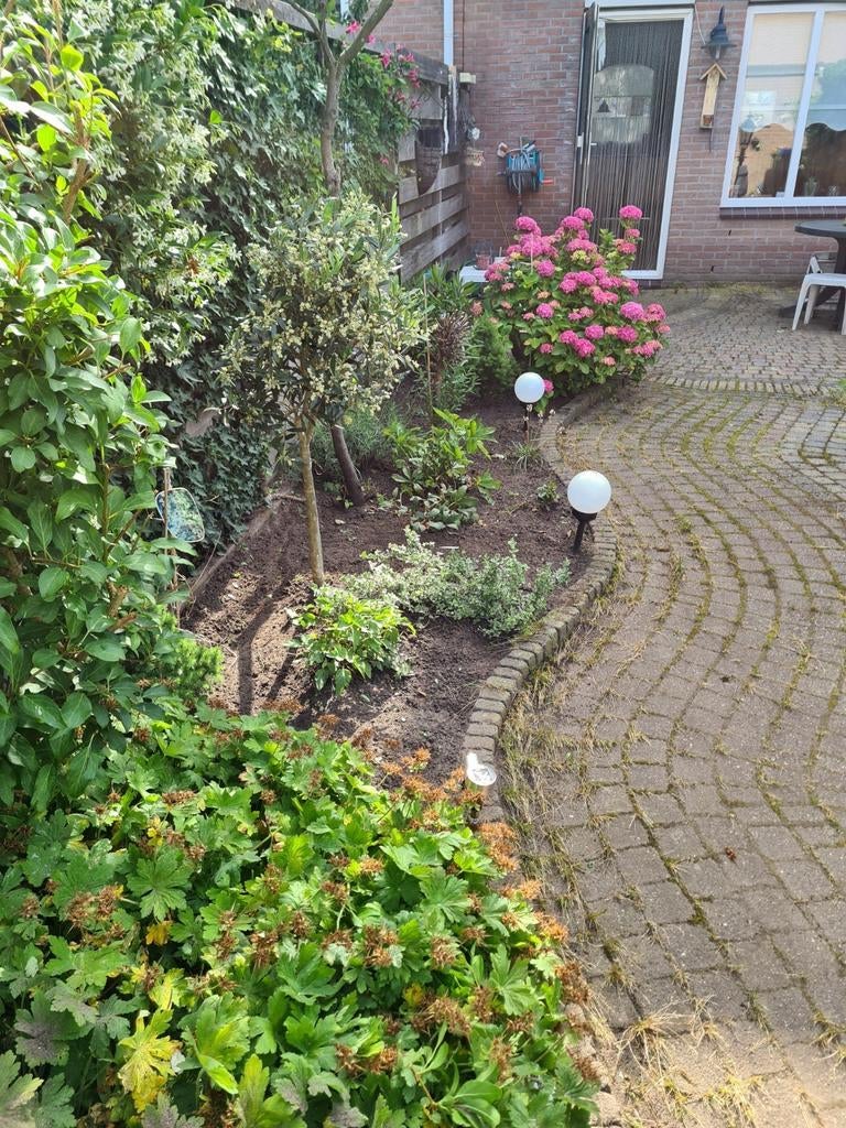 Hovenier, Diensten en Vakmensen, Tuinmannen en Stratenmakers, Tuinonderhoud of Snoeiwerk