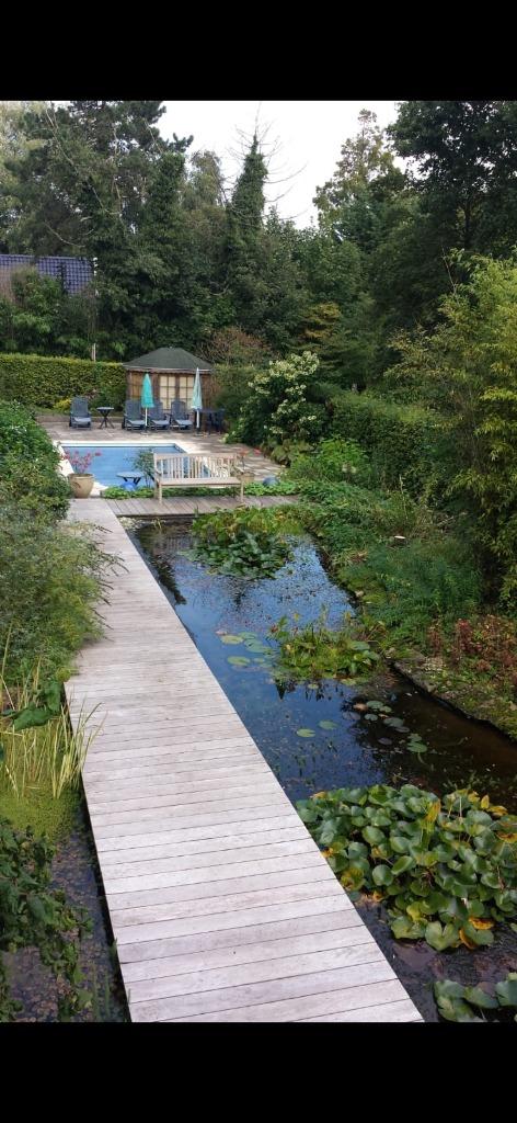 tuinier en hoveniers werk aangeboden, Tuinonderhoud of Snoeiwerk