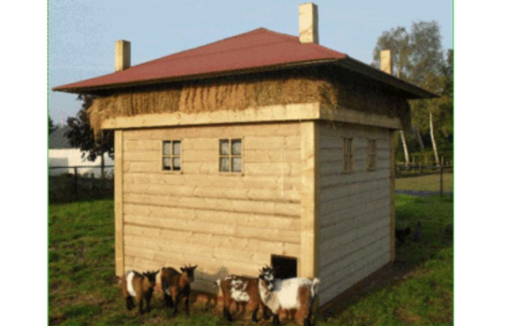 Schuur nachtverblijf schapen varkensverblijf opbergschuur 🔨, Dieren en Toebehoren, Schapen, Geiten en Varkens, Meerdere dieren