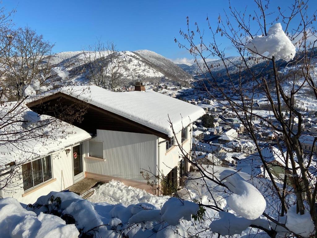 Luxe vakantiehuis 5* te huur in La Bresse Hoge Vogezen, 8 personen, 4 of meer slaapkamers, Dorp, Vogezen of Jura