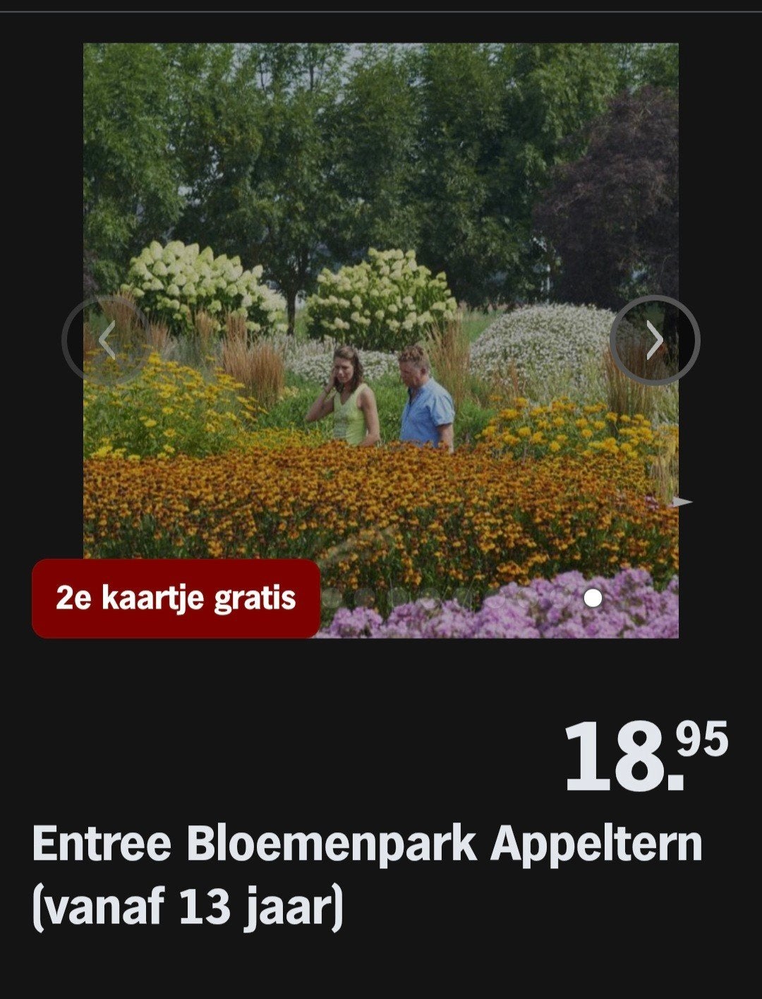 BLOEMENPARK APPELTERN ♡ 2e kaartje gratis (AH SPAARKAARTEN), Tickets en Kaartjes, Overige soorten