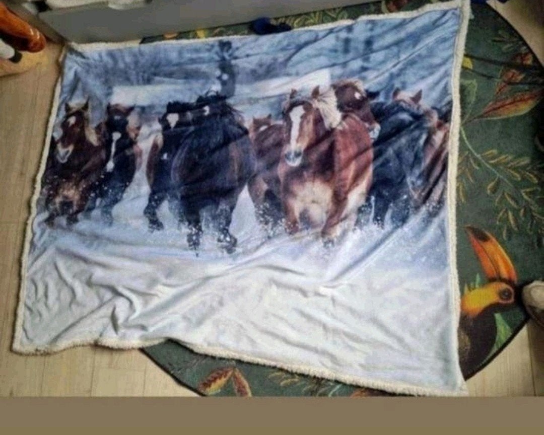 Groot paarden  kleed, Ophalen, Zo goed als nieuw, Vierkant