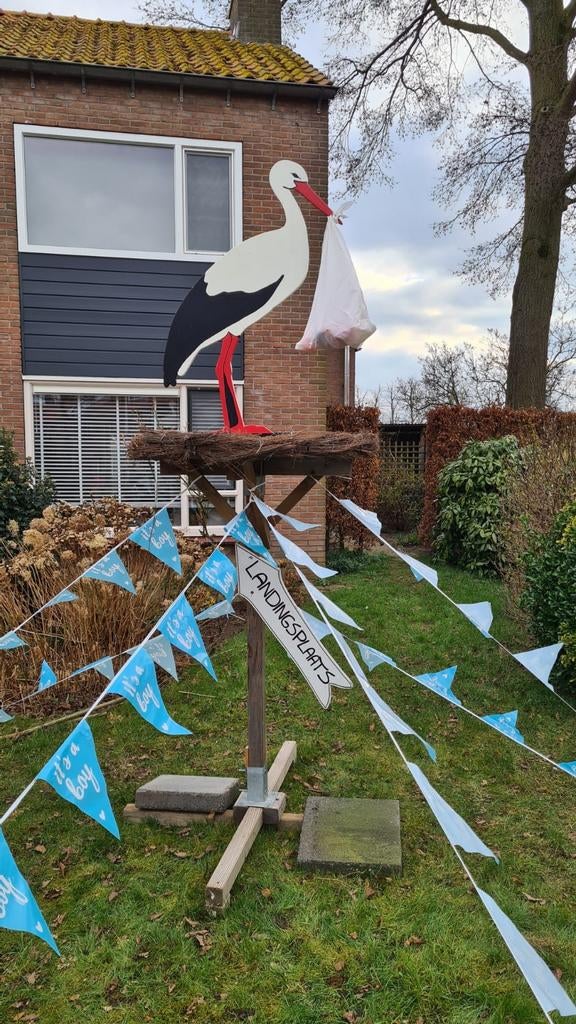 Geboorte ooievaar op nest, Ophalen of Verzenden