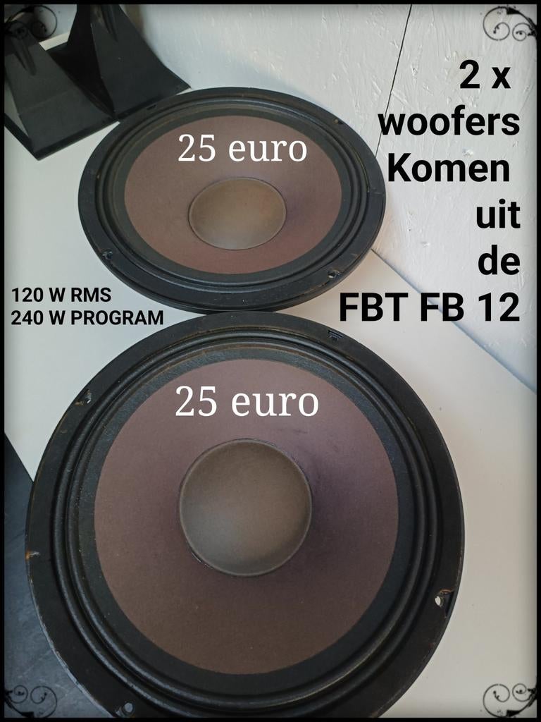2x FBT FB 12 Woofers - 120W RMS / 240W Program, Audio, Tv en Foto, Luidsprekers, Ophalen