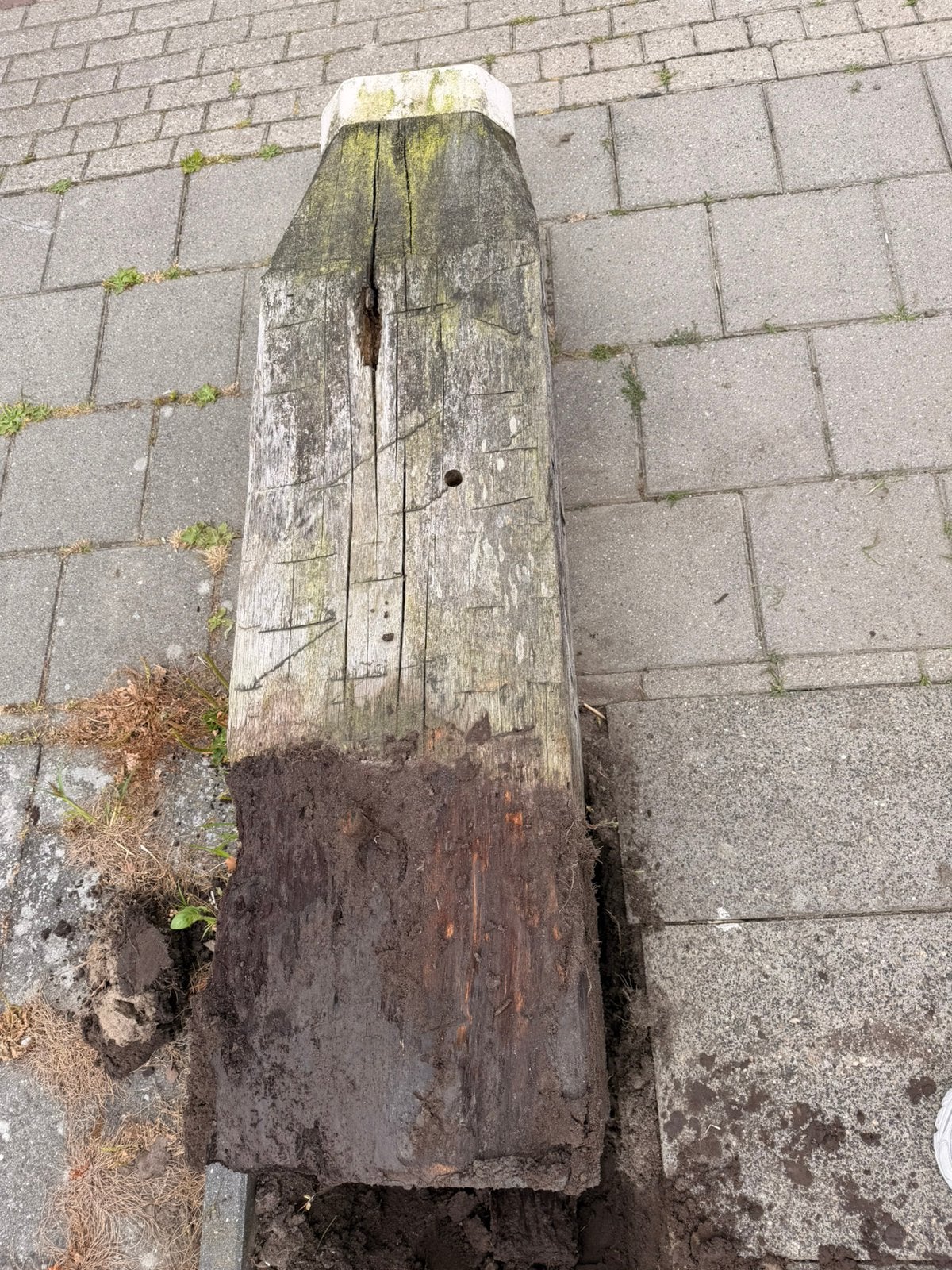 Authentieke meerpaal, Ophalen, Gebruikt, Minder dan 180 cm, Palen