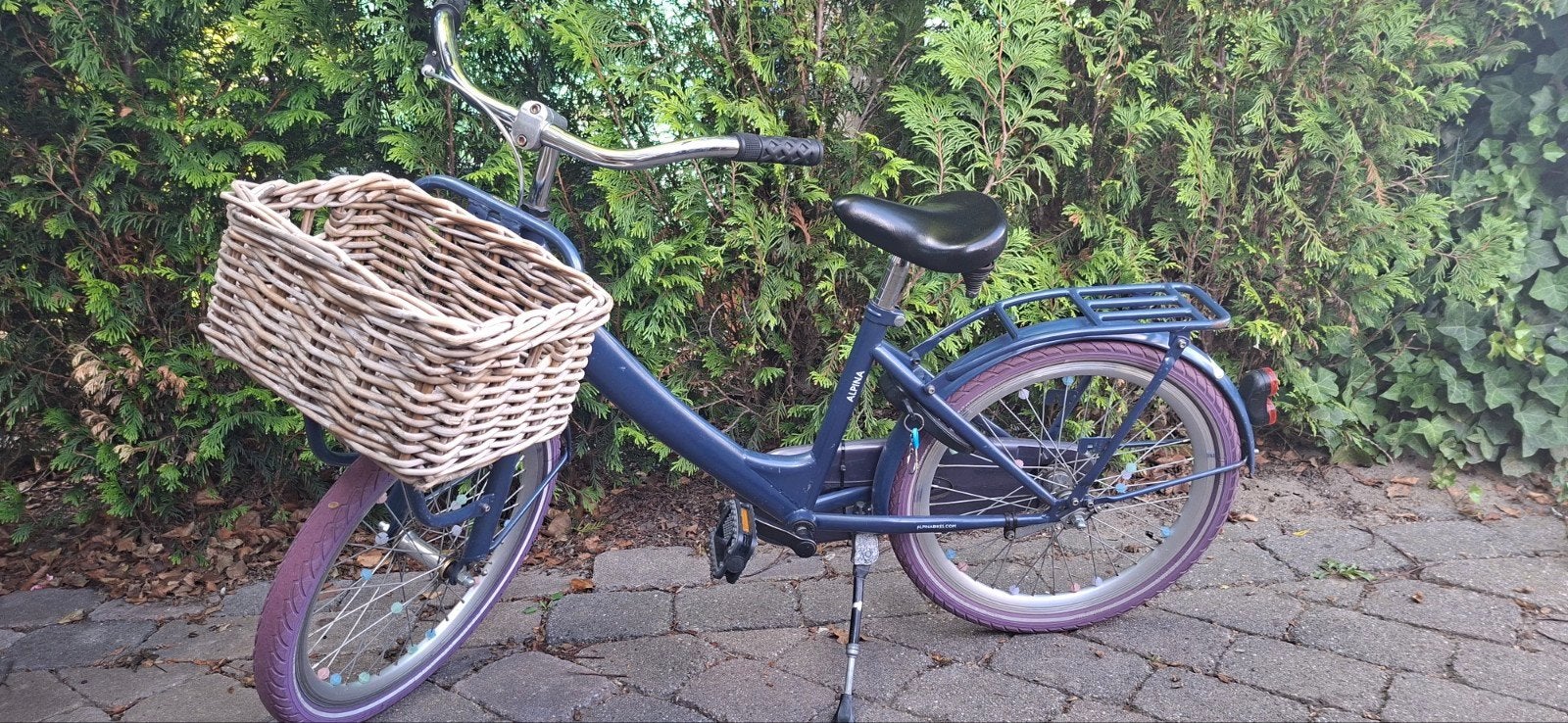 Alpina Meisjesfiets 20 inch, Ophalen, Terugtraprem, Gebruikt, Alpina