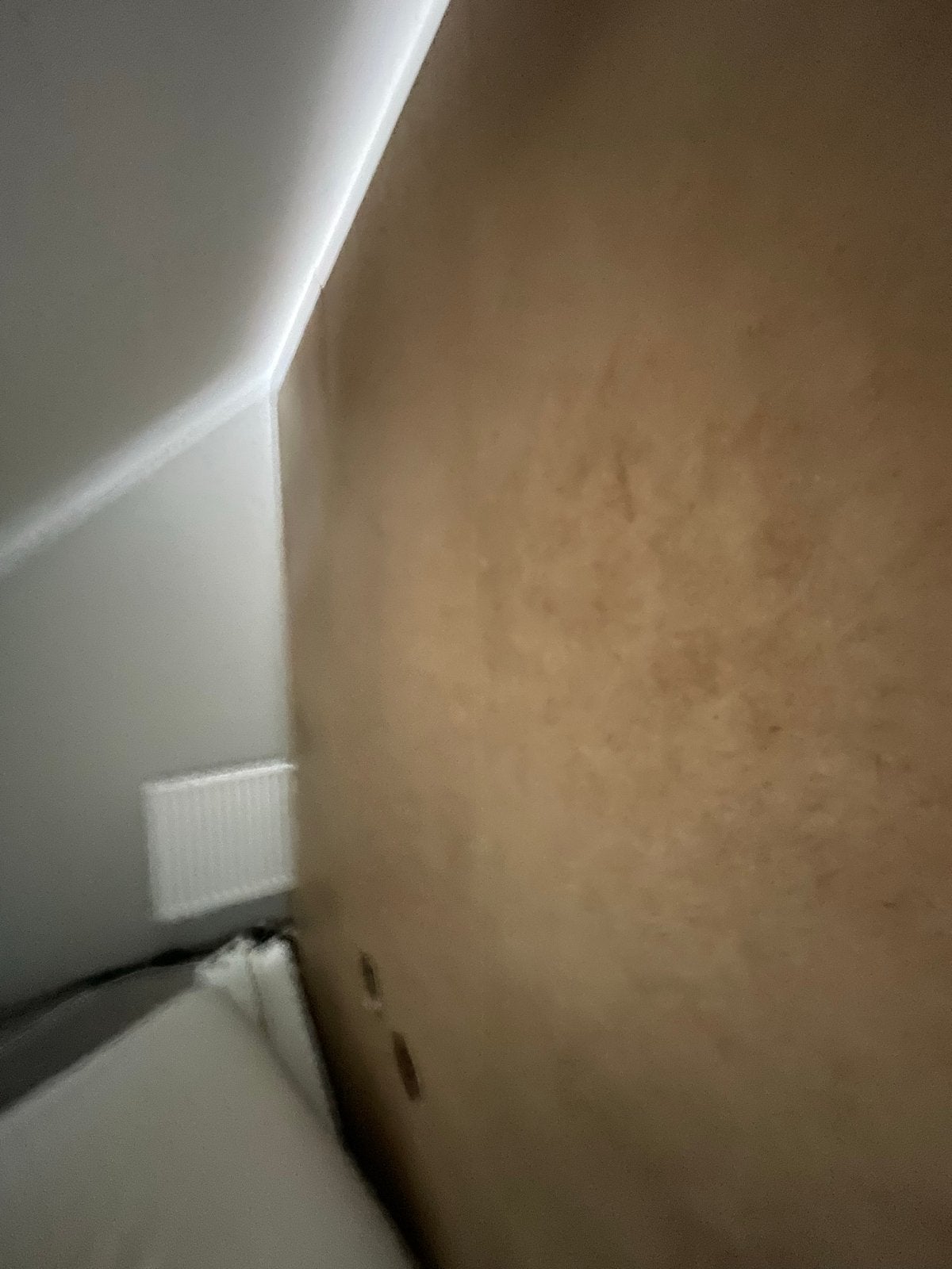 Foto 10 van Elektrische Karibu sauna met opgiet en accessoires/ 2-3 pers